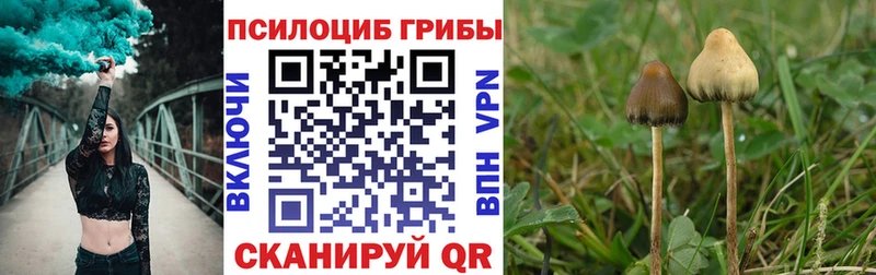 Галлюциногенные грибы ЛСД  Купить закладки  Сельцо 