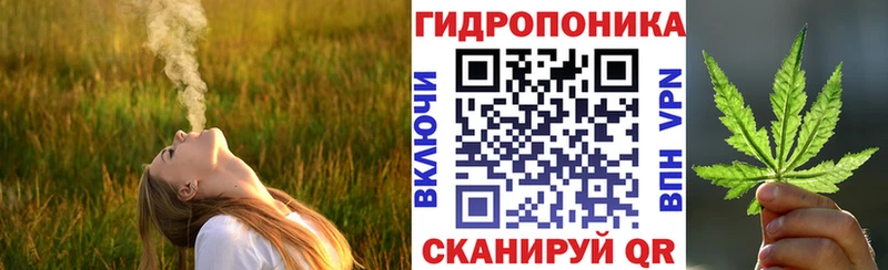 Бошки марихуана Bruce Banner Сельцо